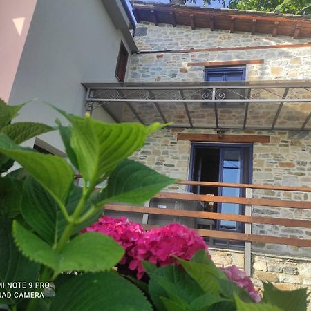 Flower Paradise Tsagarada Exterior photo